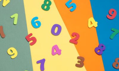185.63.263.20